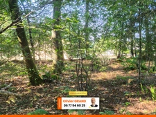 TERRAIN 1245M² - ENVIRONNEMENT CAMPAGNE - CALME