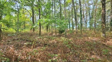 TERRAIN DE LOISIR 6500m² - ENVIRONNEMENT CALME ET CAMPAGNE - PROCHE LIMOGES
