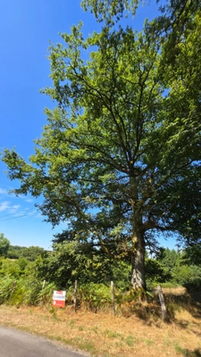 TERRAIN CONSTRUCTIBLE  + AGRICOLE - ENVIRONNEMENT CAMPAGNE