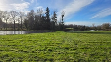 TERRAIN CONSTRUCTIBLE AVEC 2 ETANGS + PRAIRIE - 4.1Ha