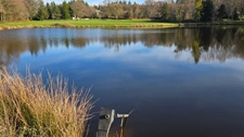 TERRAIN CONSTRUCTIBLE AVEC 2 ETANGS + PRAIRIE - 4.1Ha