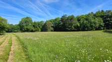 TERRAIN DE LOISIR AVEC ETANG - PRAIRIE ET BATIMENT - ENVIRONNEMENT CALME ET CAMPAGNE