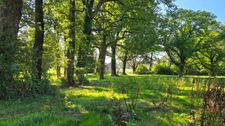 Terrain à vendre de 16 580,00 m² PIERRE BUFFIERE (87)