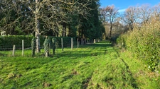 TERRAIN CONSTRUCTIBLE AVEC 2 ETANGS + PRAIRIE - 4.1Ha