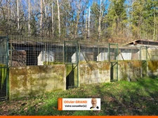 TERRAIN DE LOISIR AVEC CABANON + CHENIL 10 BOXES