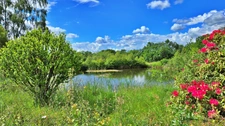 TERRAIN DE LOISIR AVEC ETANG - PRAIRIE ET BATIMENT - ENVIRONNEMENT CALME ET CAMPAGNE