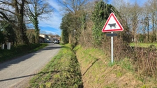 TERRAIN PLAT - CALME - ENVIRONNEMENT CAMPAGNE