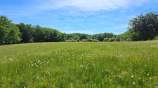 TERRAIN DE LOISIR AVEC ETANG - PRAIRIE ET BATIMENT - ENVIRONNEMENT CALME ET CAMPAGNE