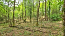 Terrain 6 365,00 m² SAINT JUNIEN (87) - Environnement campagne