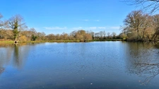 TERRAIN DE LOISIR AVEC ETANG ET MAISONNETTE DE REPOS + APPENTI + GARAGE - CADRE CALME ET VERDOYANT