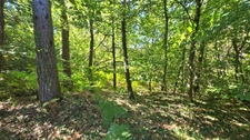 Terrain de loisir boisé 2.3Ha + Source - Proche Limoges