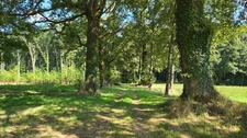 Terrain à vendre de 16 580,00 m² PIERRE BUFFIERE (87)