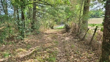 TERRAIN DE LOISIR 6500m² - ENVIRONNEMENT CALME ET CAMPAGNE - PROCHE LIMOGES