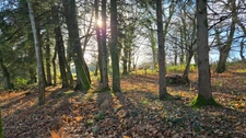 TERRAIN CONSTRUCTIBLE AVEC 2 ETANGS + PRAIRIE - 4.1Ha