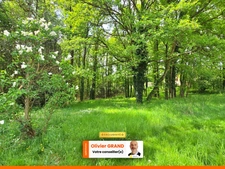 Terrain 6 365,00 m² SAINT JUNIEN (87) - Environnement campagne