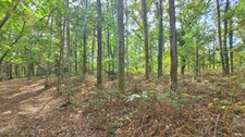 TERRAIN DE LOISIR 6500m² - ENVIRONNEMENT CALME ET CAMPAGNE - PROCHE LIMOGES