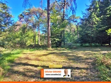 Terrain de loisir boisé 2.3Ha + Source - Proche Limoges
