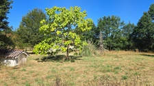 MAISON 5P + GARAGE + GRAND JARDIN - ENVIRONNEMENT CAMPAGNE