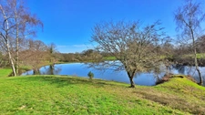 TERRAIN DE LOISIR AVEC ETANG ET MAISONNETTE DE REPOS + APPENTI + GARAGE - CADRE CALME ET VERDOYANT