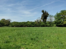 TERRAIN PLAT 4148M² - CALME - ENVIRONNEMENT CAMPAGNE