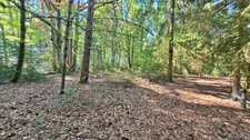 Terrain de loisir boisé 2.3Ha + Source - Proche Limoges