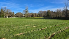 TERRAIN CONSTRUCTIBLE AVEC 2 ETANGS + PRAIRIE - 4.1Ha