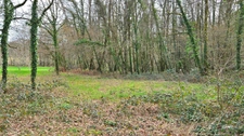 TERRAIN 1676M² - ENVIRONNEMENT CAMPAGNE ET BOISE