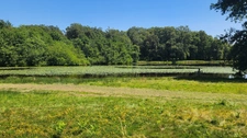 ETANG + TERRAIN DE LOISIR + FORET DE CHENES - PROCHE CENTRE-BOURG