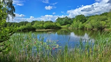 TERRAIN DE LOISIR AVEC ETANG - PRAIRIE ET BATIMENT - ENVIRONNEMENT CALME ET CAMPAGNE