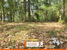 TERRAIN DE LOISIR 6500m² - ENVIRONNEMENT CALME ET CAMPAGNE - PROCHE LIMOGES