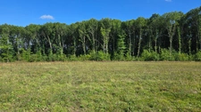Terrain à vendre de 16 580,00 m² PIERRE BUFFIERE (87)
