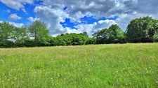 TERRAIN DE LOISIR AVEC ETANG - PRAIRIE ET BATIMENT - ENVIRONNEMENT CALME ET CAMPAGNE