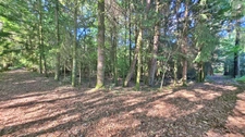 Terrain de loisir boisé 2.3Ha + Source - Proche Limoges