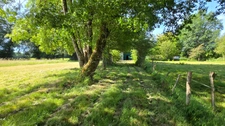 TERRAIN DE LOISIR AVEC ETANG - PRAIRIE ET BATIMENT - ENVIRONNEMENT CALME ET CAMPAGNE