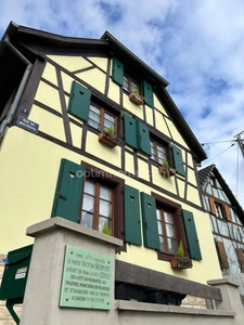 STEINBRUNN LE BAS, 10min gare TGV MULHOUSE, 10min accès A35, Maison Alsacienne (1786), 195m², 5.38ares, 5chambres, superbes volumes, Un charme fou!