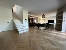 BRUNSTATT, sur les hauteurs, Splendide Villa d'architecte de 190m², 6.50ares, prestation haut de gamme (béton ciré, parquet massif, climatisation, piscine à débordement etc...) Top emplacement!