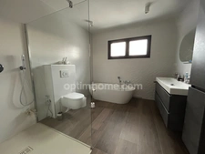 BETTENDORF, 2min de HIRSINGUE, Villa d'architecte, 222m² habitable (+400m² surface totale), suite parentale, piscine chauffée, pool house, jacuzzi, 14.87ares. Prestations et matériaux Premium.