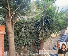 EXCLUSIVITE au Cœur d'Argelès-sur-Mer : Maison de Village & Appartement Indépendant