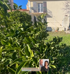 Baisse de prix Argelès-sur-Mer Maison 3 Faces avec Garage  Vue Montagne 