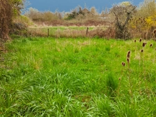 Grange au calme