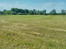 Ferme rénovée implantée sur plus de 4 hectares