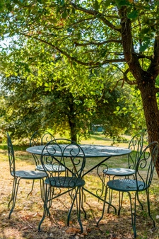Exceptional property with panoramic views and absolute tranquility, close to SAUMUR.