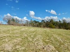 Terrain à vendre de 1 500 m² sur la commune de NOTRE-DAME-DE-SANILHAC (24)