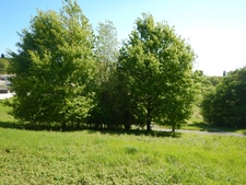 Terrain à bâtir de 1 073 m² sur la commune de TRELISSAC.