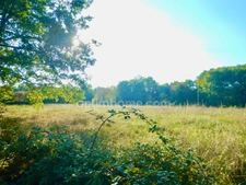 Terrain à vendre de 1 764 m² NOTRE DAME DE SANILHAC (24)