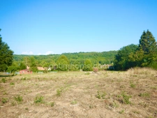 Terrain constructible 1215 m² CHATEAU-L'EVEQUE (24)