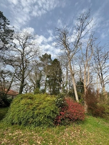 Maison à vendre 7 pièces TERCIS LES BAINS (40), avec deux terrains détachables 