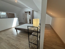 Propriété à vendre 14 pièces Saint jean de Marsacq (40) avec salle de bal de plus de 100m2 sur terrain de plus de 4 hectares