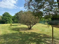 Maison à vendre 5 pièces LABATUT (40) contemporaine avec studio indépendant et double garage sur terrain arboré de plus de 6500m2
