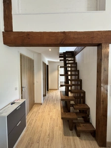 Propriété à vendre 14 pièces Saint jean de Marsacq (40) avec salle de bal de plus de 100m2 sur terrain de plus de 4 hectares